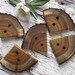 Wood Tree Branch Buttons - 5 Natural Wood Triangle Buttons - 1 5/8 x 2 inches, 2 holes, Perfect for Fiber Artists, Journals, Purses