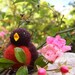 Waldorf toy, robin toy, small stuffed toy, all natural toy, eco friendly toy