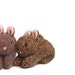 bunny toy, small stuffed toy, stuffed bunny, waldorf toy, all natural toy