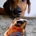 Magnet - More Coffee Please Groggy Dachshund