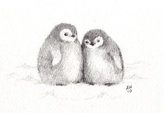 Penguin chicks original pencil sketch by wildsunart on Etsy