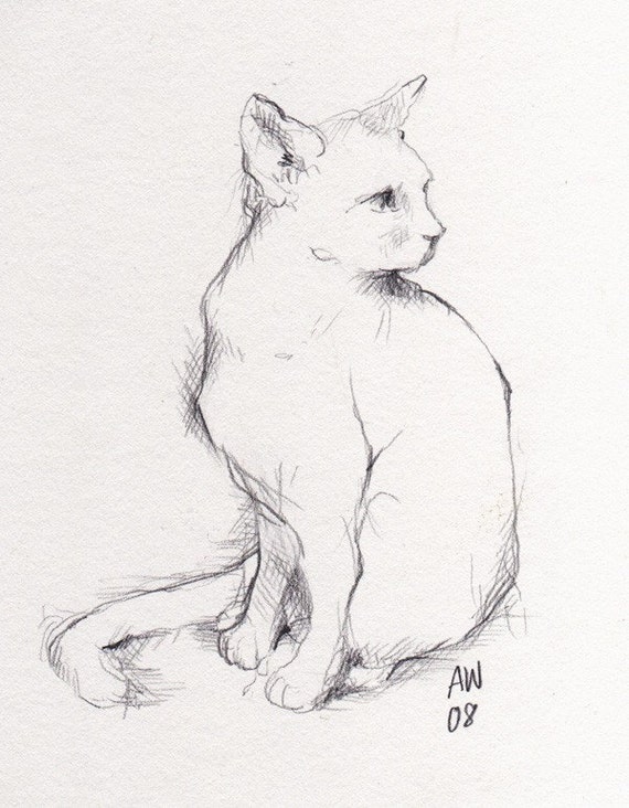 Sitting Cat Original Sketch