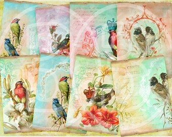 Birds Collage Sheet Digital Scrapbooking Vintage Scrapbook