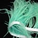 Mint Ostrich thrill on ribbon, 40 inches.for Diana
