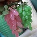 2 Vintage Glass Grape Clusters Italy Reuse