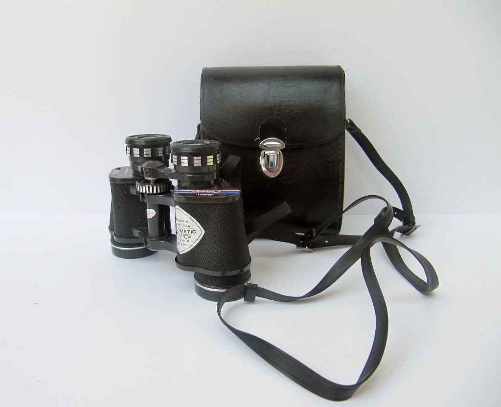 Vintage Binoculars with Case