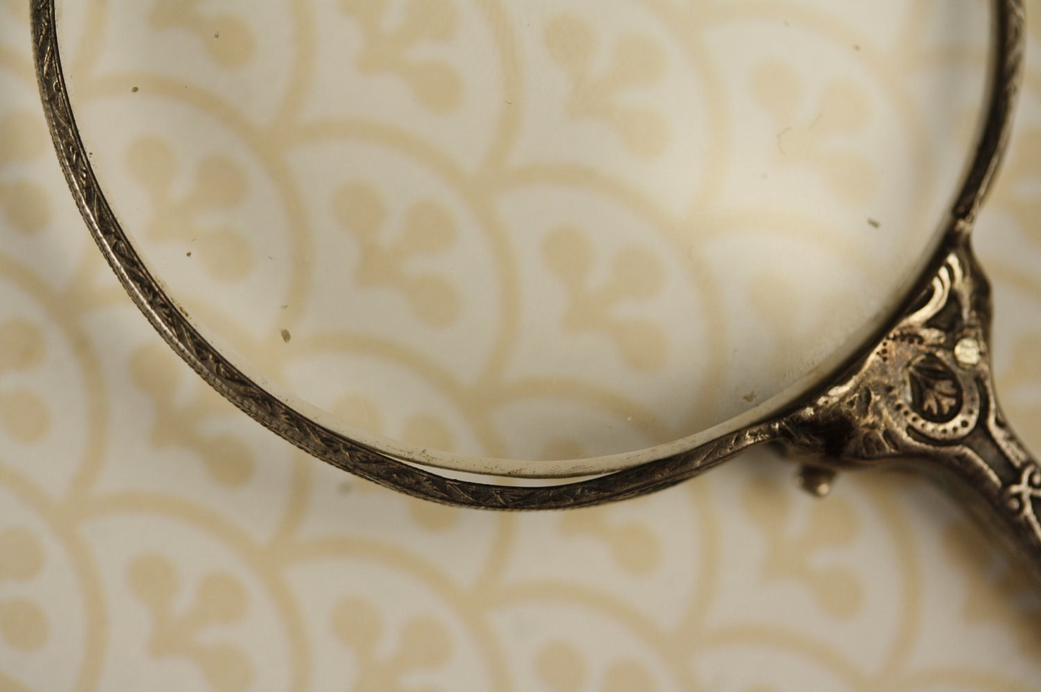 Magnifying Glass and Spectacles Necklace Antiqued Silver