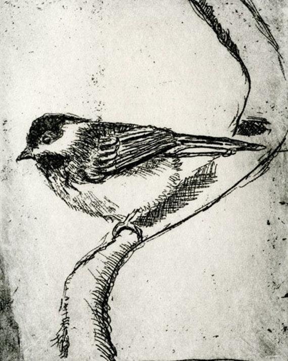 Items similar to Bird Decor - Wall Art - Black Capped Chickadee Bird ...