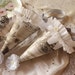 Parisian Frou. Pair of Parisian Paper Tussie Mussie Favor Cones