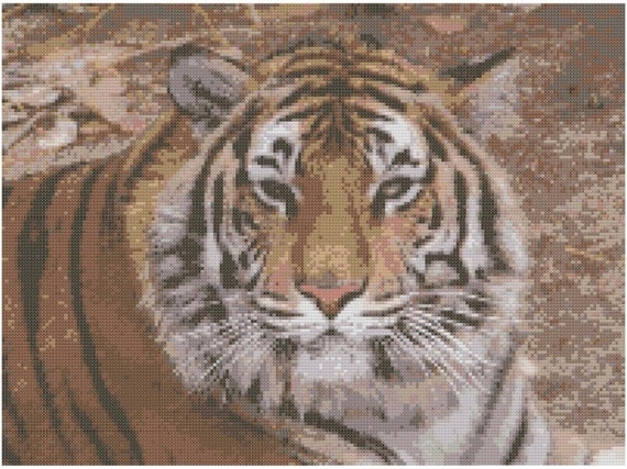 Items Similar To Bengal Tiger Cross Stitch Kit On Etsy