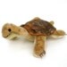 slo ... vintage steiff turtle