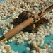 Handmade Slimline Writing Pen Made From Narra Wood From Philippines Fall Autimn Birthday Gift Idea