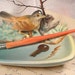 Vintage Nature Whatnot Dish with Robin. Ceramic Bird Napco Japan