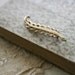 golden leaf pin