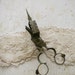 old wick cutter