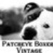 patcheyeboxer