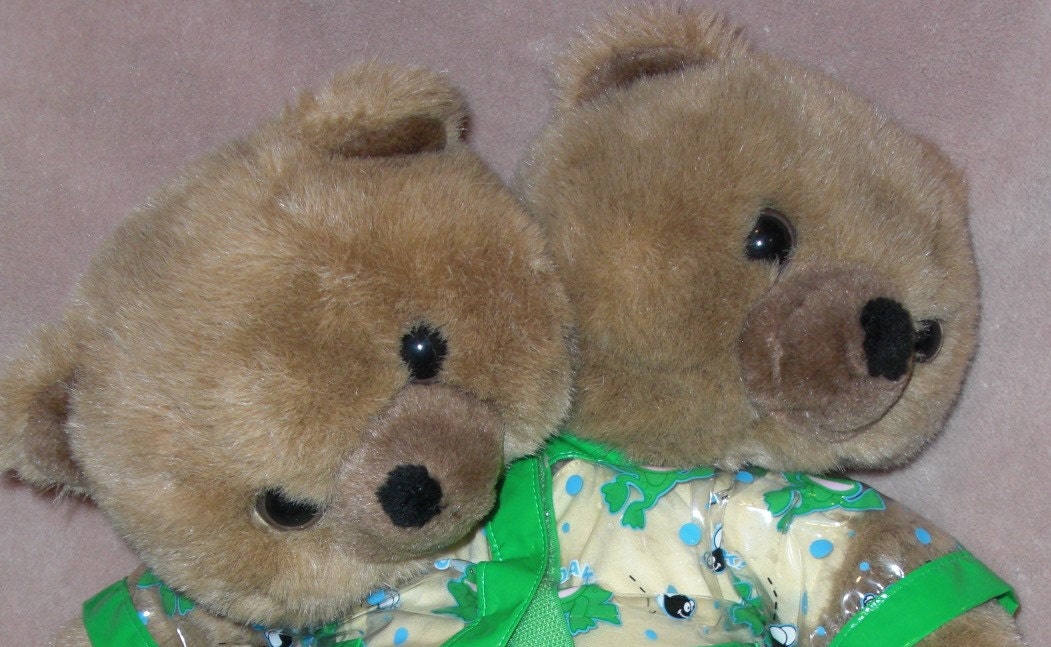 2 headed teddy bear