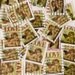 LOVE Stamps 25 Cancelled Angel Cherub