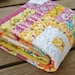 Baby Quilt -Toddler or Throw - Central Park