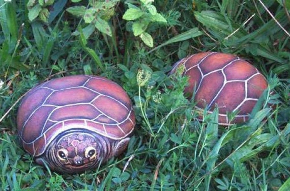 Tortuga En Ingles Como Se Escribe