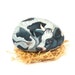 Painted rock, black and white cow