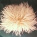Tibetan Lamb for OOAK Dolls, BJD, Blythe Trolls, Fairy, Waldorf Hair-BLONDE