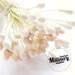 53 Double Sided Multi Colour Ivory Vintage Double Ended Flower Stamens