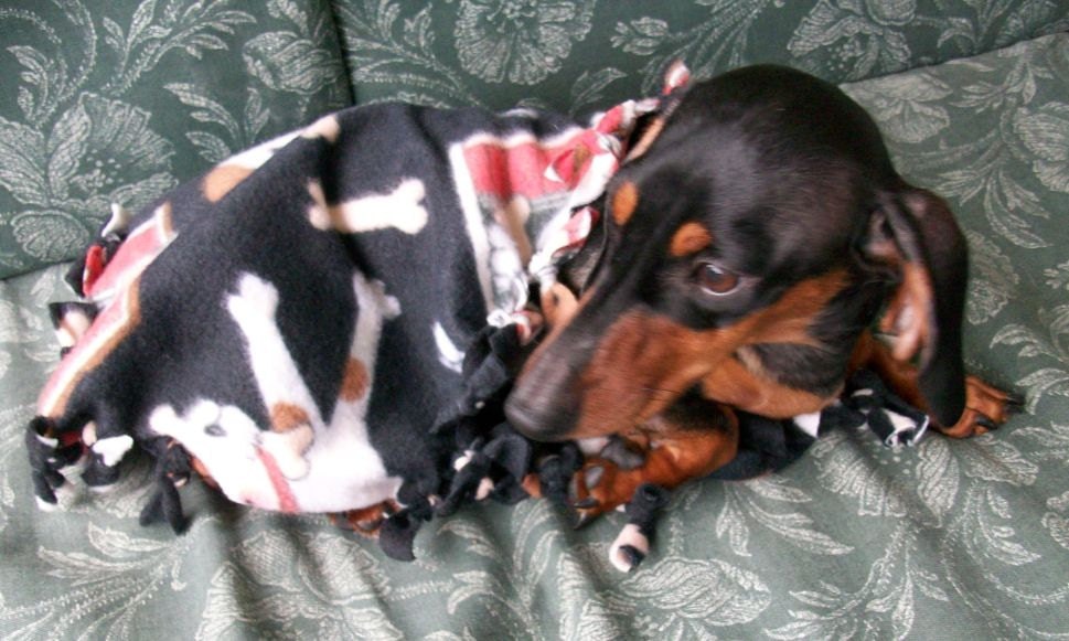Dog Themed Doggie Chewing Blanket