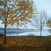 Late Fall- 18x14in Original Oil Painting
