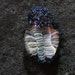3-D Alien DNA Art Glass Pendant