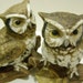 Reserved for Pookas Owl Figurines by Homco vintage pair