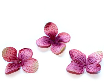 20 Hydrangea Blossoms in Mauve Pink - PRE-ORDER