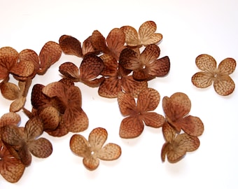 100 Hydrangea Blossoms in Teddy Bear Brown - PRE-ORDER