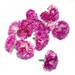 Violet Carnations - 25 Count - Artificial Flowers