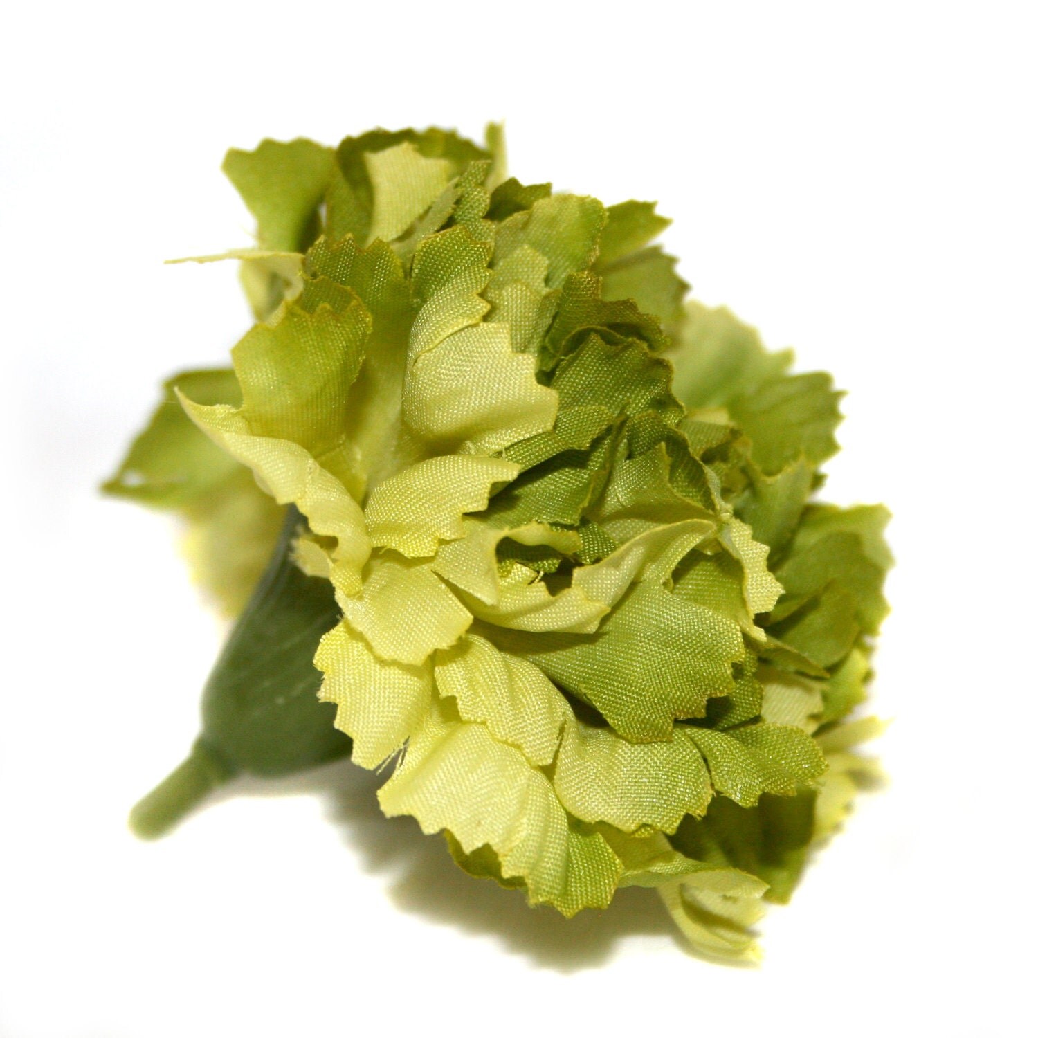 1 TwoTone Green Carnation