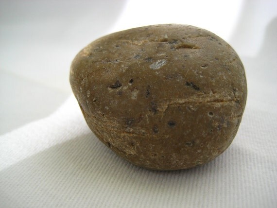 Vintage 1975 Pet Rock Genuine Pedigreed