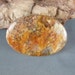 Graveyard Point Plume Agate Cabochon rock gemstone cabochon