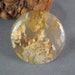 Graveyard Point Plume Agate Cabochon rock gemstone cabochon