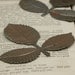 10 rusty metal leaves