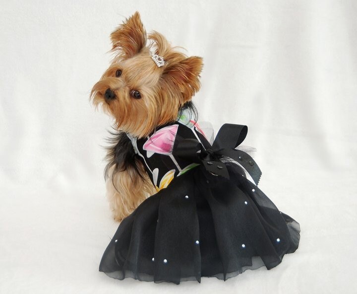 Dog Dress Harness New Years Celebrate