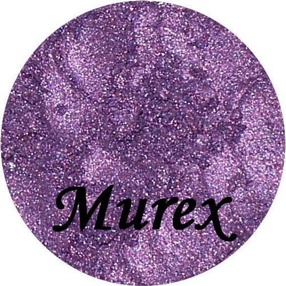 download murex snail purple