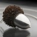 Acorn necklace Silver 925, acorn necklace sterling silver
