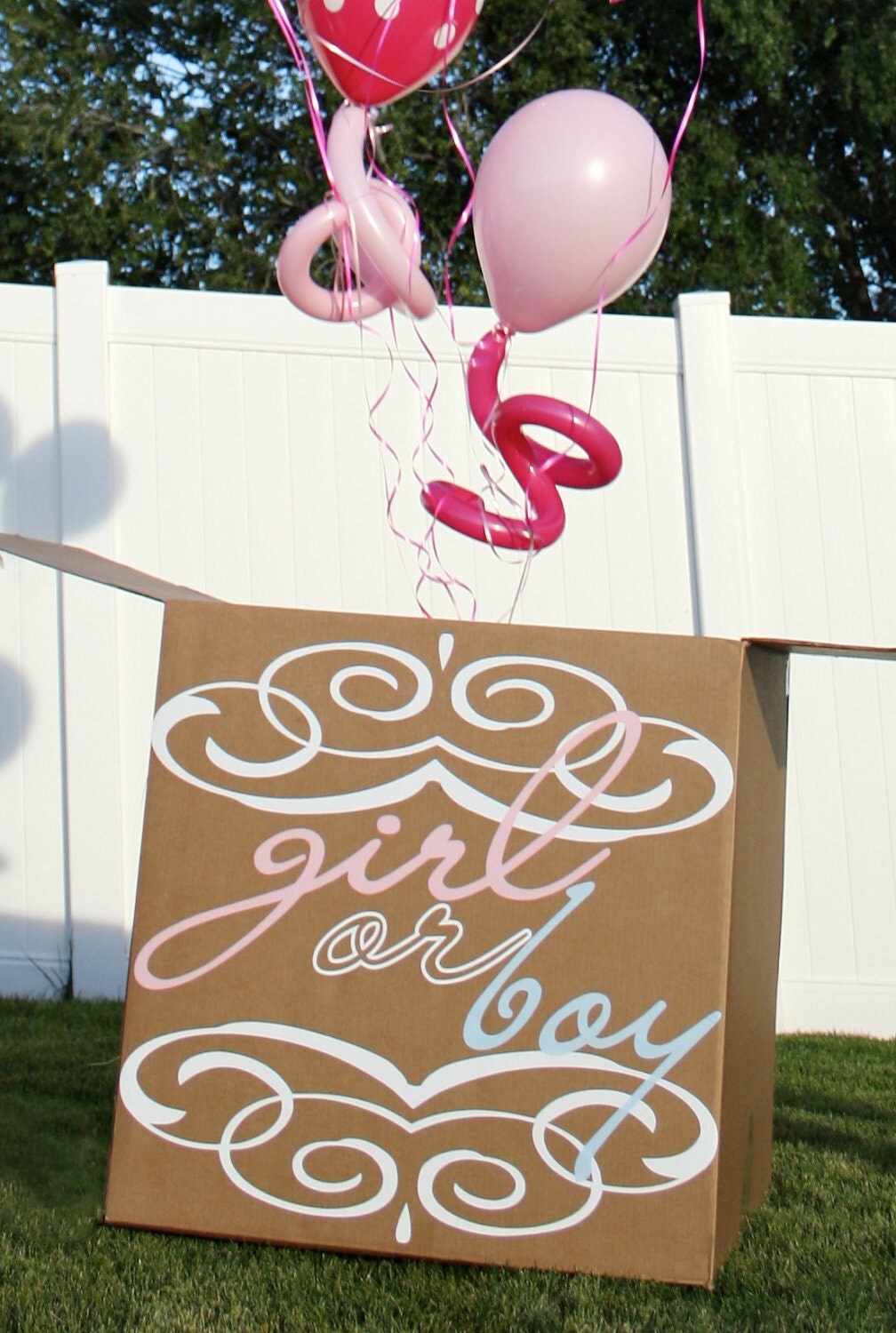 Color Powder Gender Reveal >> Gender Reveal Party Balloon Box Vinyl Decal Decor Color Powder Gender Reveal >> Gender Reveal Party Balloon Box Vinyl Decal Decor