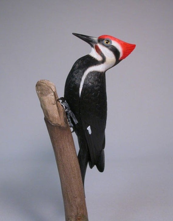 pileated woodpecker stuffed animal