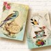 Tea Time Atc Aceo Tags, Digital Collage Sheet, Download and Print Jpeg Images