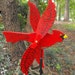 Cardinal Whirligig