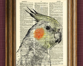 COCKATIEL Bird Art Print beautifully upcycled vintage dictionary page book art print altered