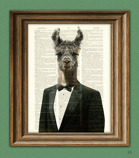 party print llama prom Print Art the a stud the in Larry Llama of TUXEDO party print llama prom Print Art the a stud the in Larry Llama of TUXEDO