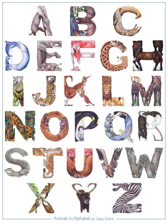 Animals In Alphabet Poster 18 X 24 Casey G 