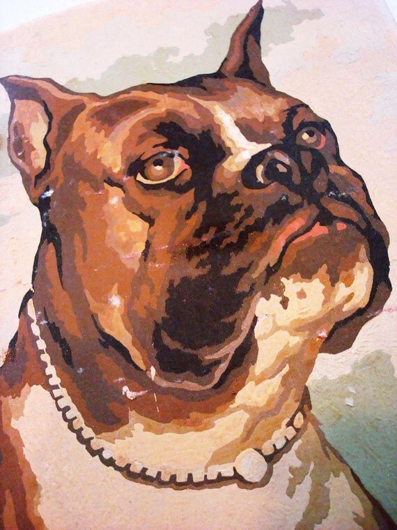 Serious Looking Boxer Dog Paint By Number